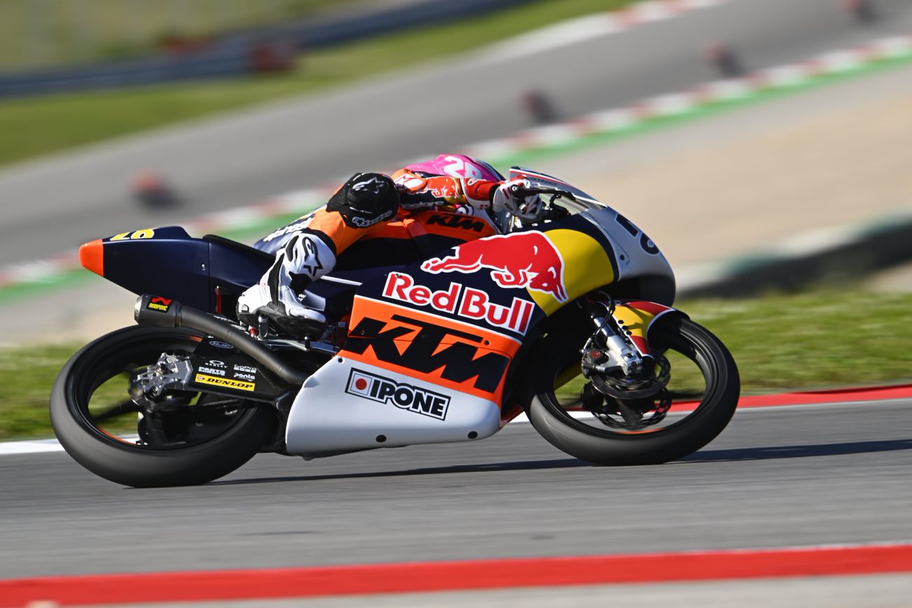 redbull rookies cup